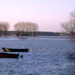 Boats abandoned at the IJssel river. Doesburg, The Netherlands