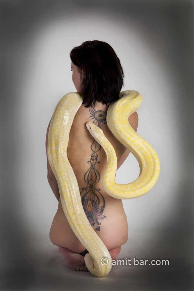 Albino python I: Albino python on the neck and back of a nude model