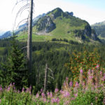 The mountains around Amden, Switzerland