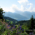 The mountains around Amden, Switzerland