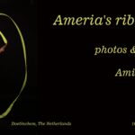 Ameria's ribbon video