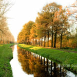 Autumn at the Slinge canal, Westendorp, The Netherlands