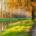 Autumn at the Slinge canal, Westendorp, The Netherlands