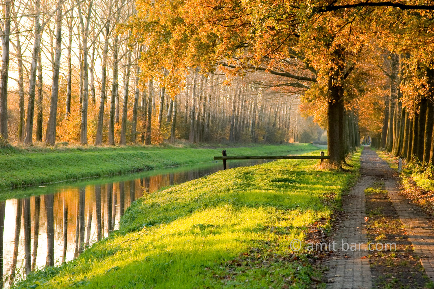 Autumn at the Slinge canal, Westendorp, The Netherlands