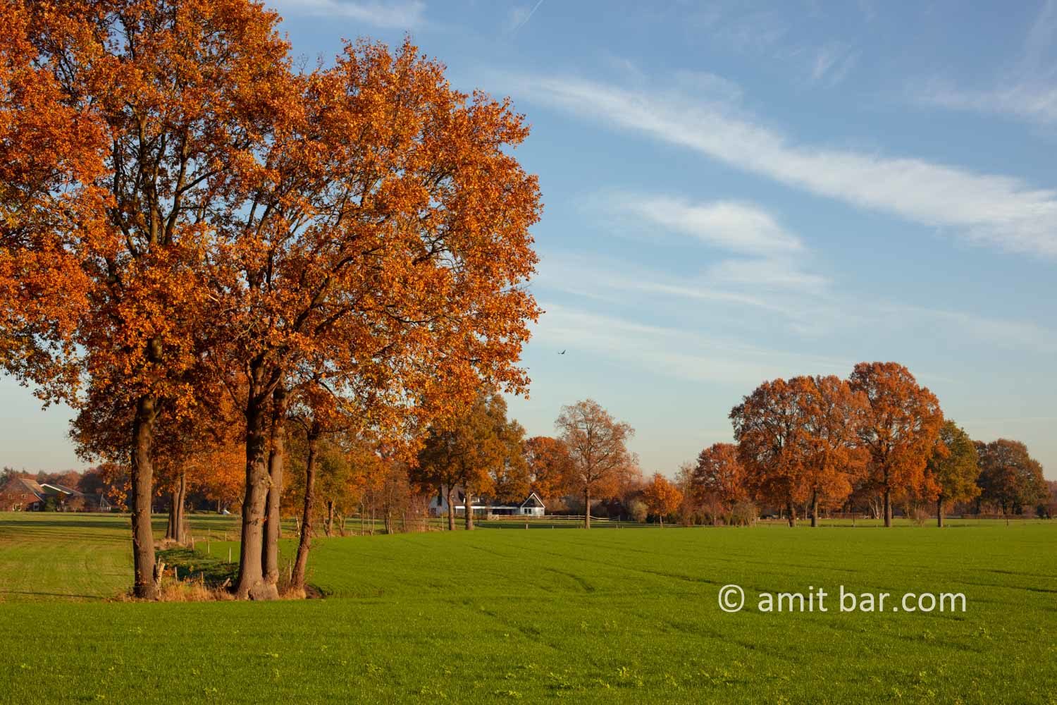 Autumn colors I: Autumn colors in the Achterhoek region, The Netherlands