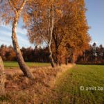 Autumn colors II: Autumn colors in the Achterhoek region, The Netherlands
