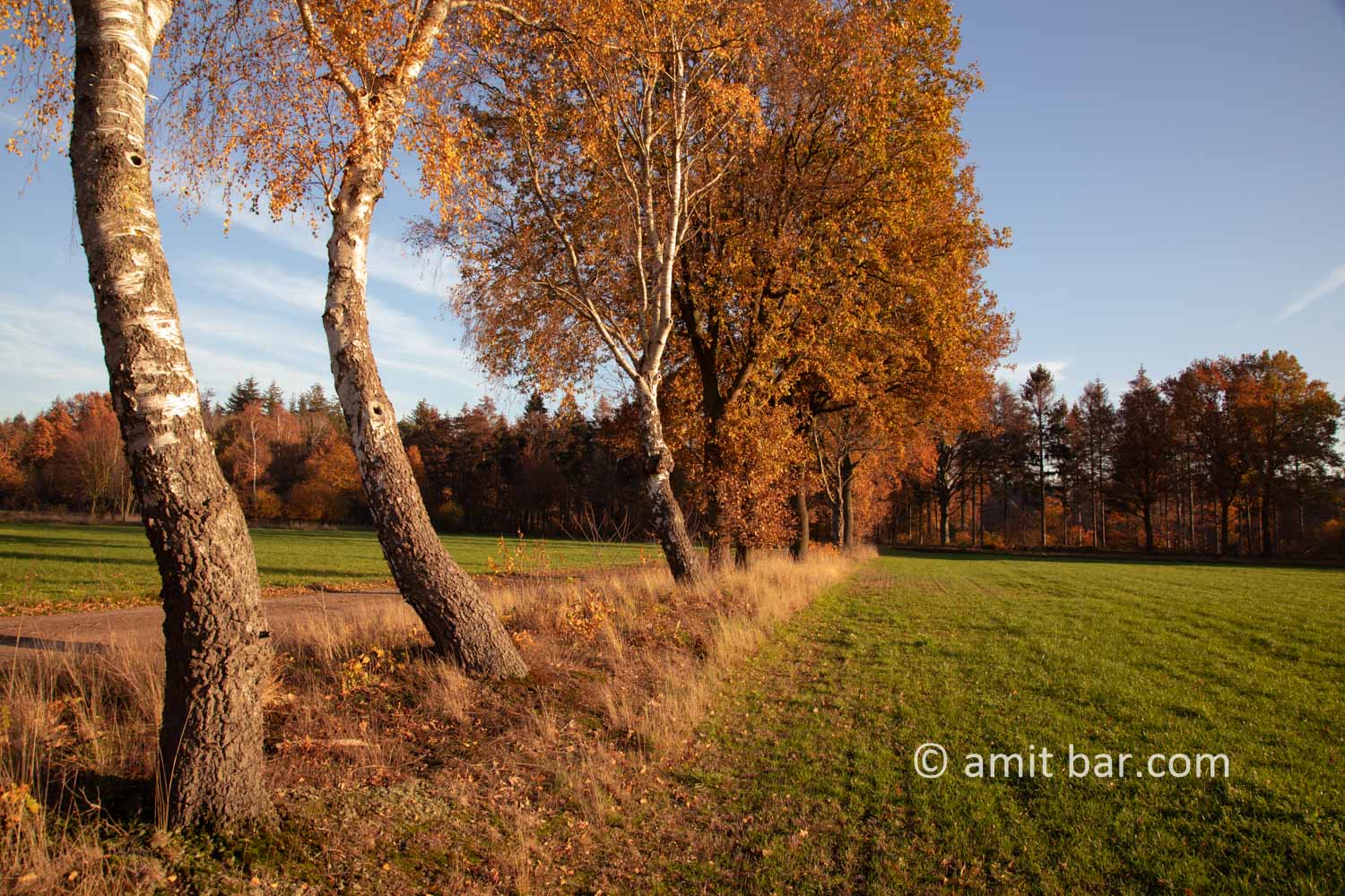 Autumn colors II: Autumn colors in the Achterhoek region, The Netherlands