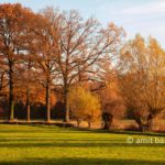 Autumn colors III: Autumn colors in the Achterhoek region, The Netherlands