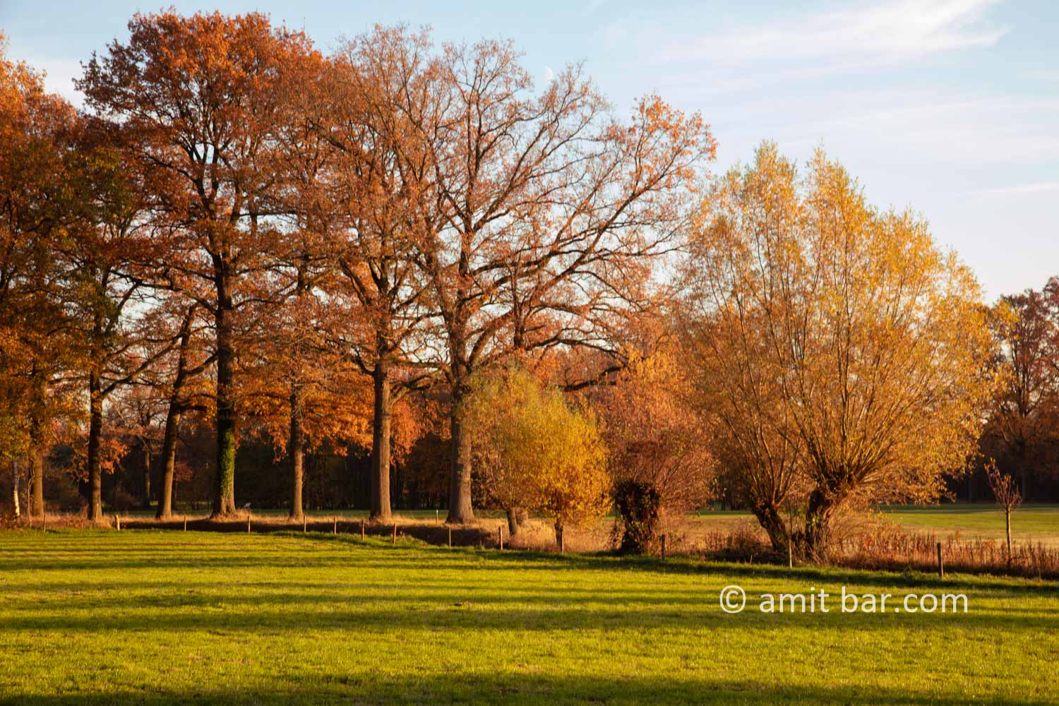 Autumn colors III: Autumn colors in the Achterhoek region, The Netherlands