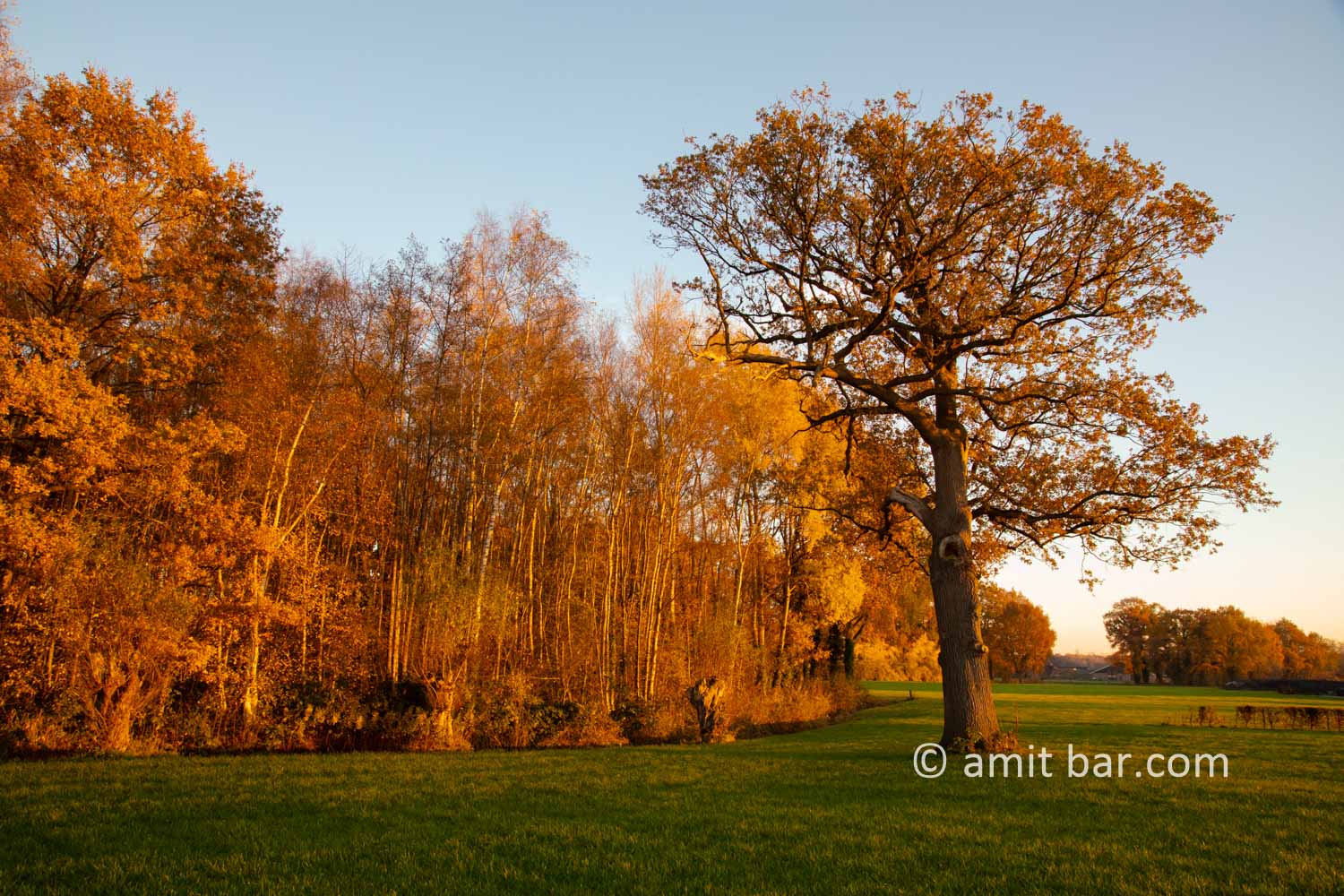 Autumn colors V: Autumn colors in the Achterhoek region, The Netherlands