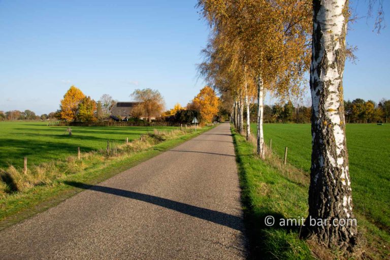 Autumn in De Achterhoek