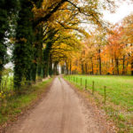 Autumn landscape: Autumn landscape in Doetinchem, The Netherlands