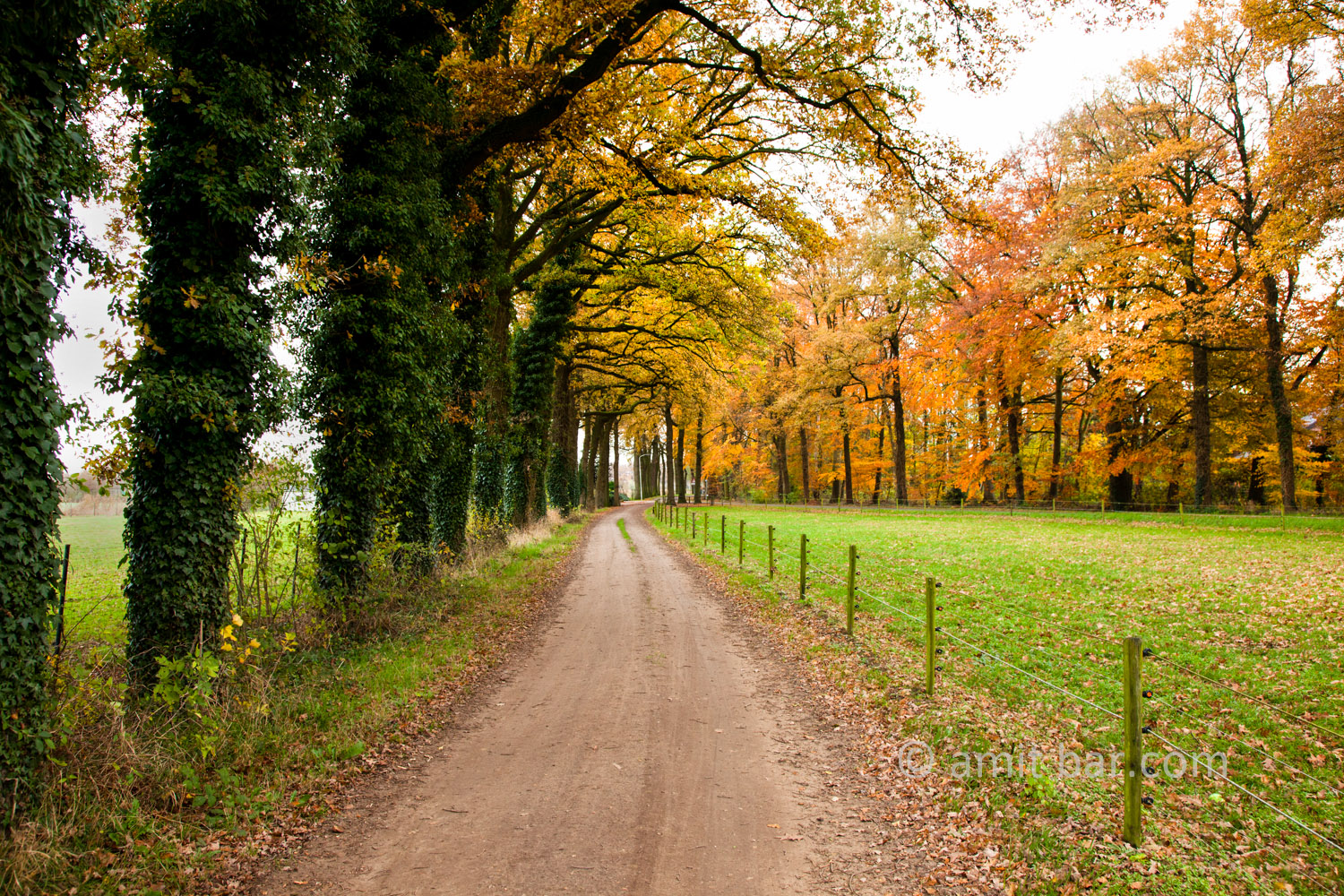 Autumn landscape: Autumn landscape in Doetinchem, The Netherlands