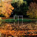 Autumn leaves at Keppel castle, Laag-Keppel