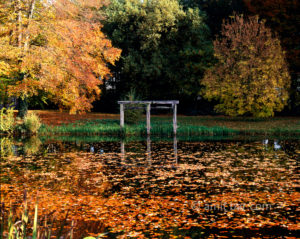 Autumn leaves at Keppel castle, Laag-Keppel