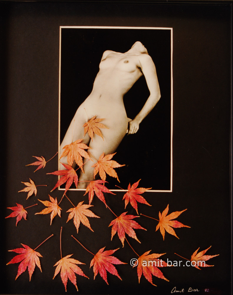Autumn leaves with a nude model: Collage of a photo and real leaves