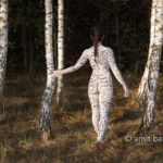 Birches grove I: A body-painting model is strolling among the white trunks of birch trees in De Achterhoek, The Netherlands