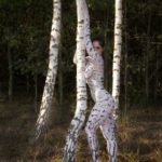 Birches grove II: A body-painting model is strolling among the white trunks of birch trees in De Achterhoek, The Netherlands