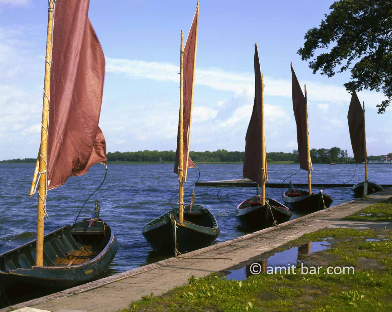 Boats and strong wind: skûtsjes (Frisian sailing boats) on lake by Giethorn, The Netherlands