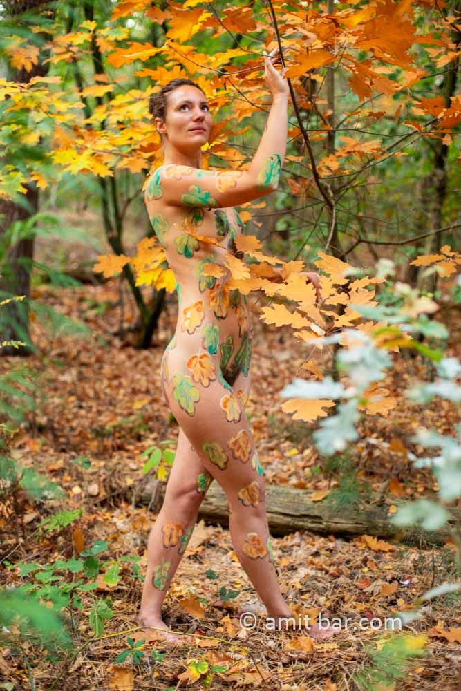 Body painted autumn leaves II: Autumn leaves painted on a mBody painted autumn leaves II: Autumn leaves painted on a model in the forest beside Doetinchem, The Netherlandsodel in the forest beside Doetinchem, The Netherlands