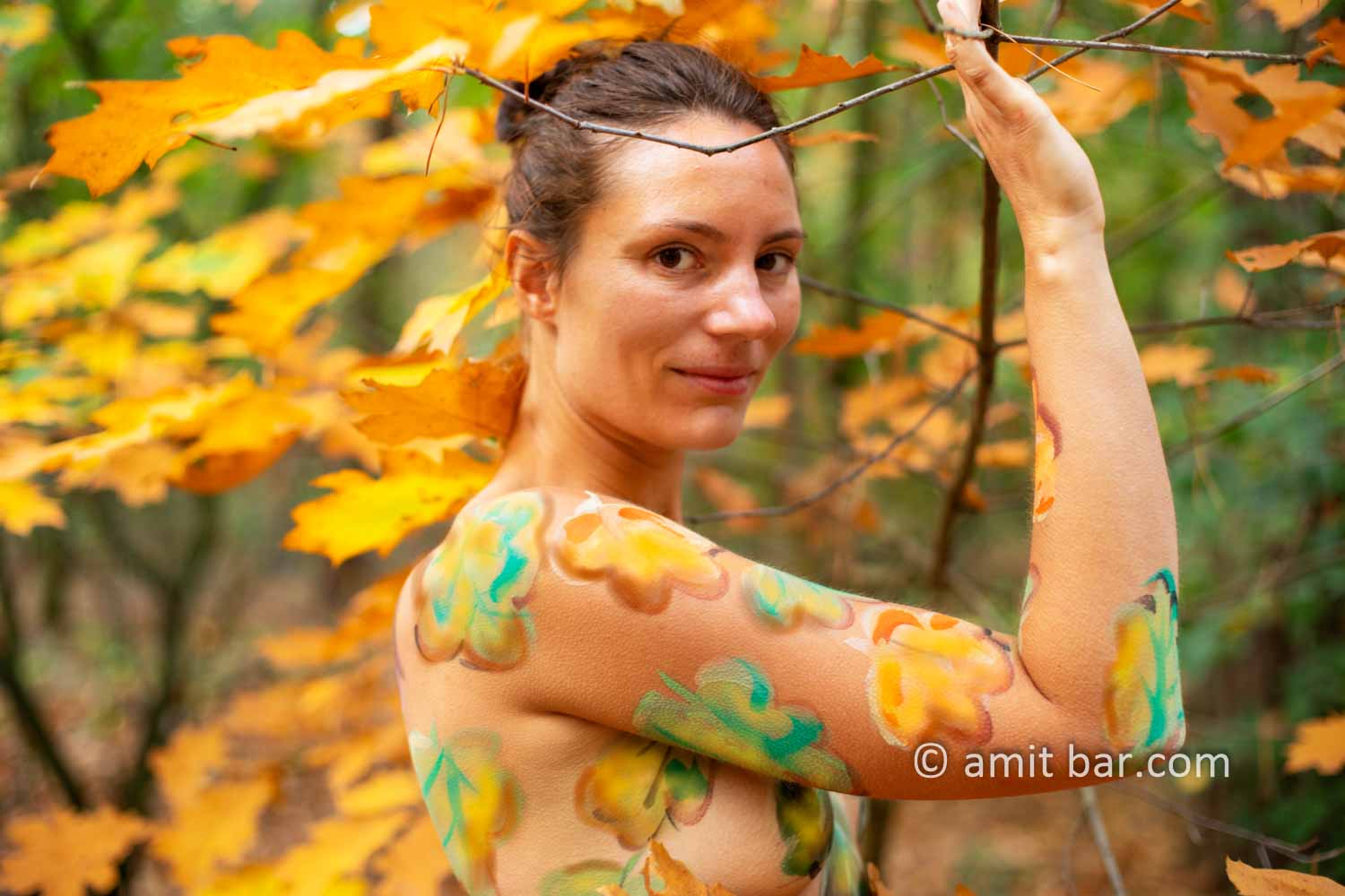 Body painted autumn leaves III: Autumn leaves painted on a model in the forest beside Doetinchem, The Netherlands