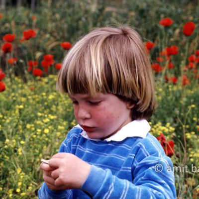 Boy with poppies