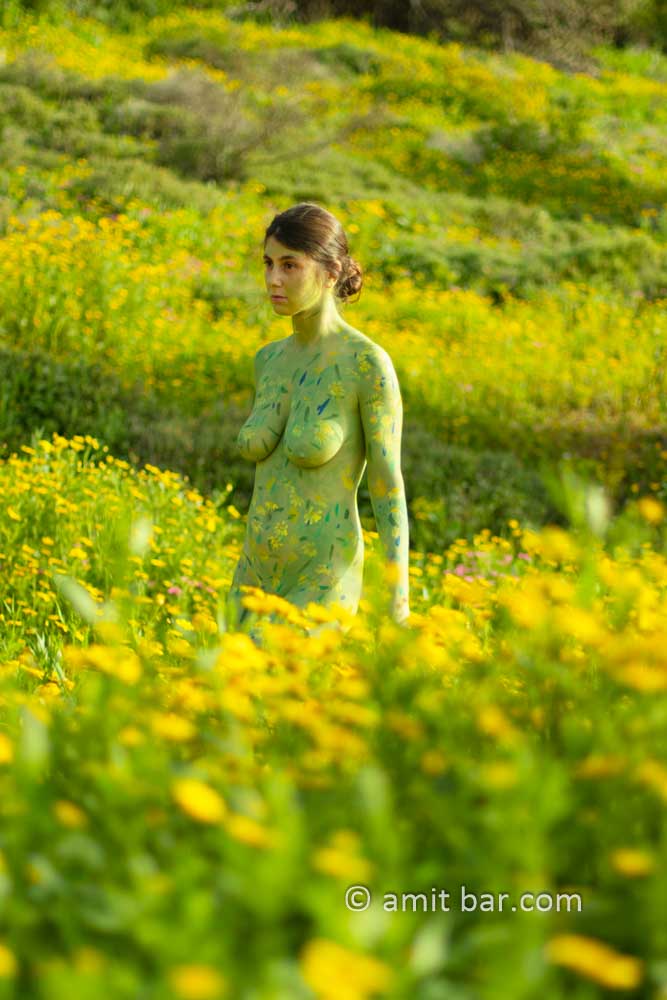 Brida body-painting II: Body-painted model Brida is walking among the wild Chrysanthemum flowers on mount Carmel