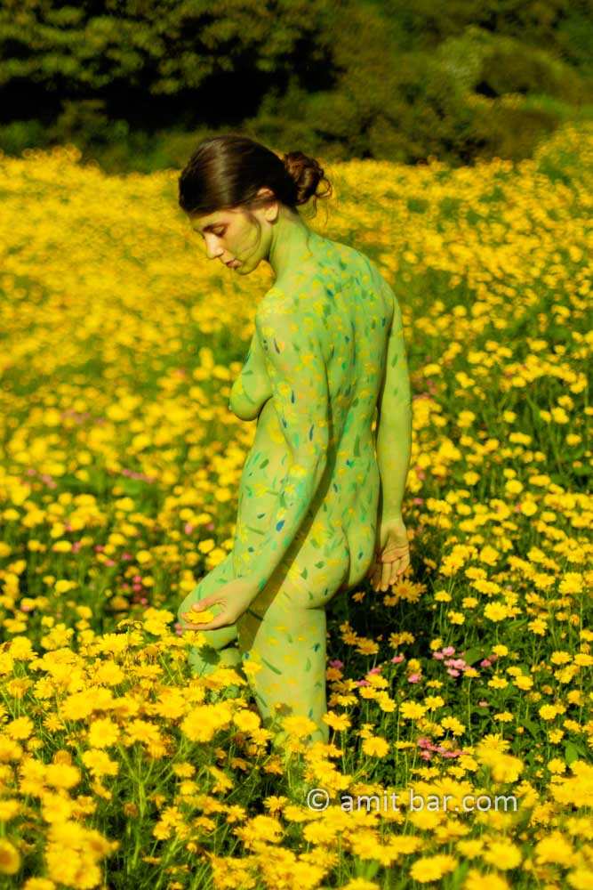 Brida body-painting III: Body-painted model Brida is walking among the wild Chrysanthemum flowers on mount Carmel