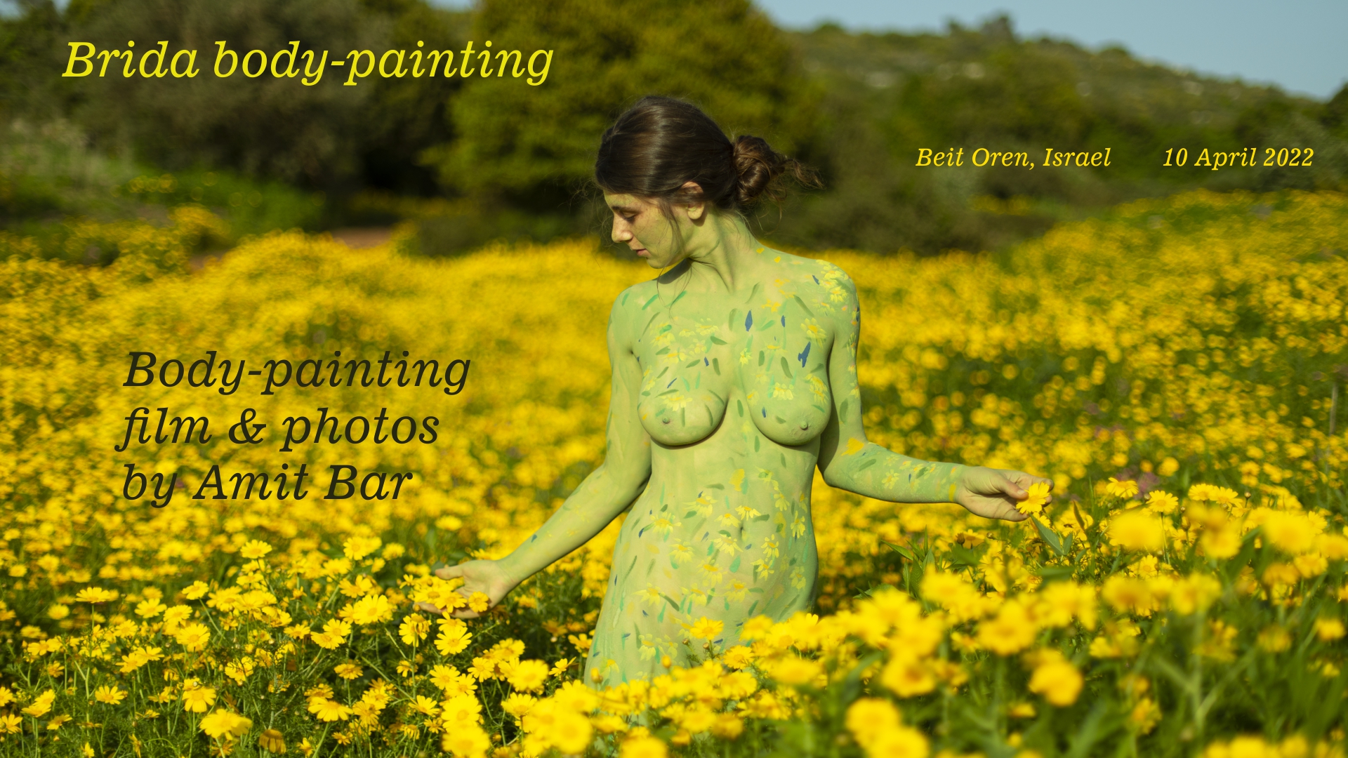 Brida body-painting: Body-painted model Brida is walking among the wild Chrysanthemum flowers on mount Carmel