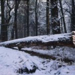 Broken tree II: A frozen landscape with a broken tree