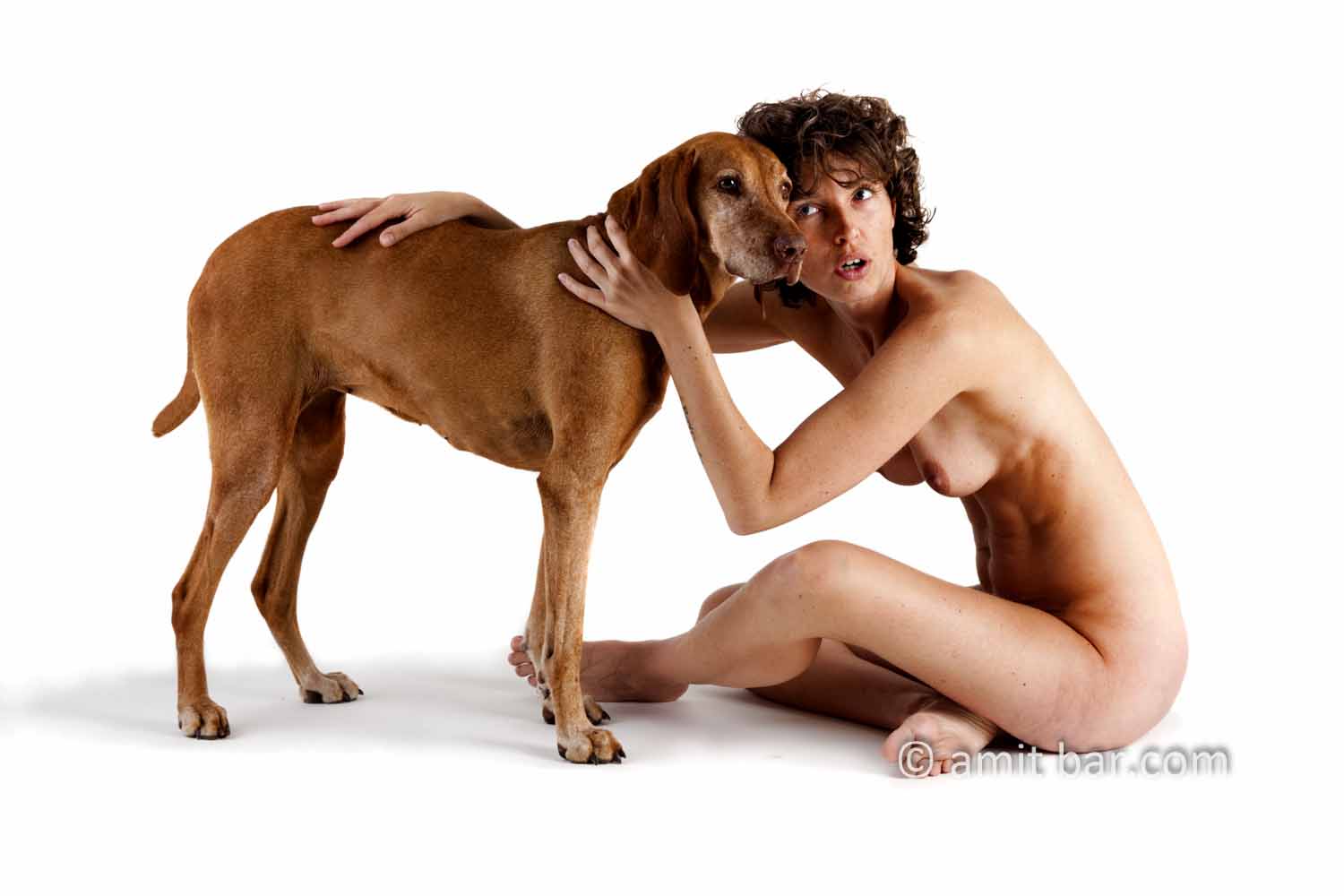 Brown dog: Nude model with brown Viszla dog