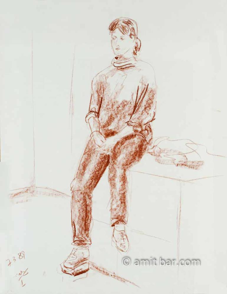 Brown model on a cube