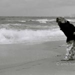 Calling the sea: A girl is calling the waves of sea