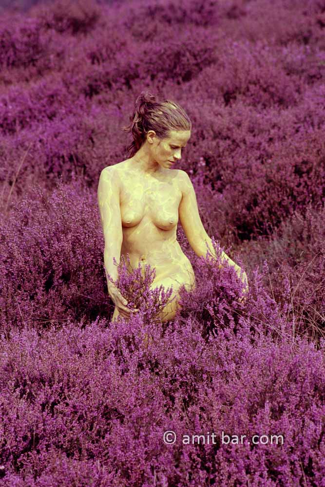 Calluna vulgaris I: Body-painted model with common heather flowers in the nature