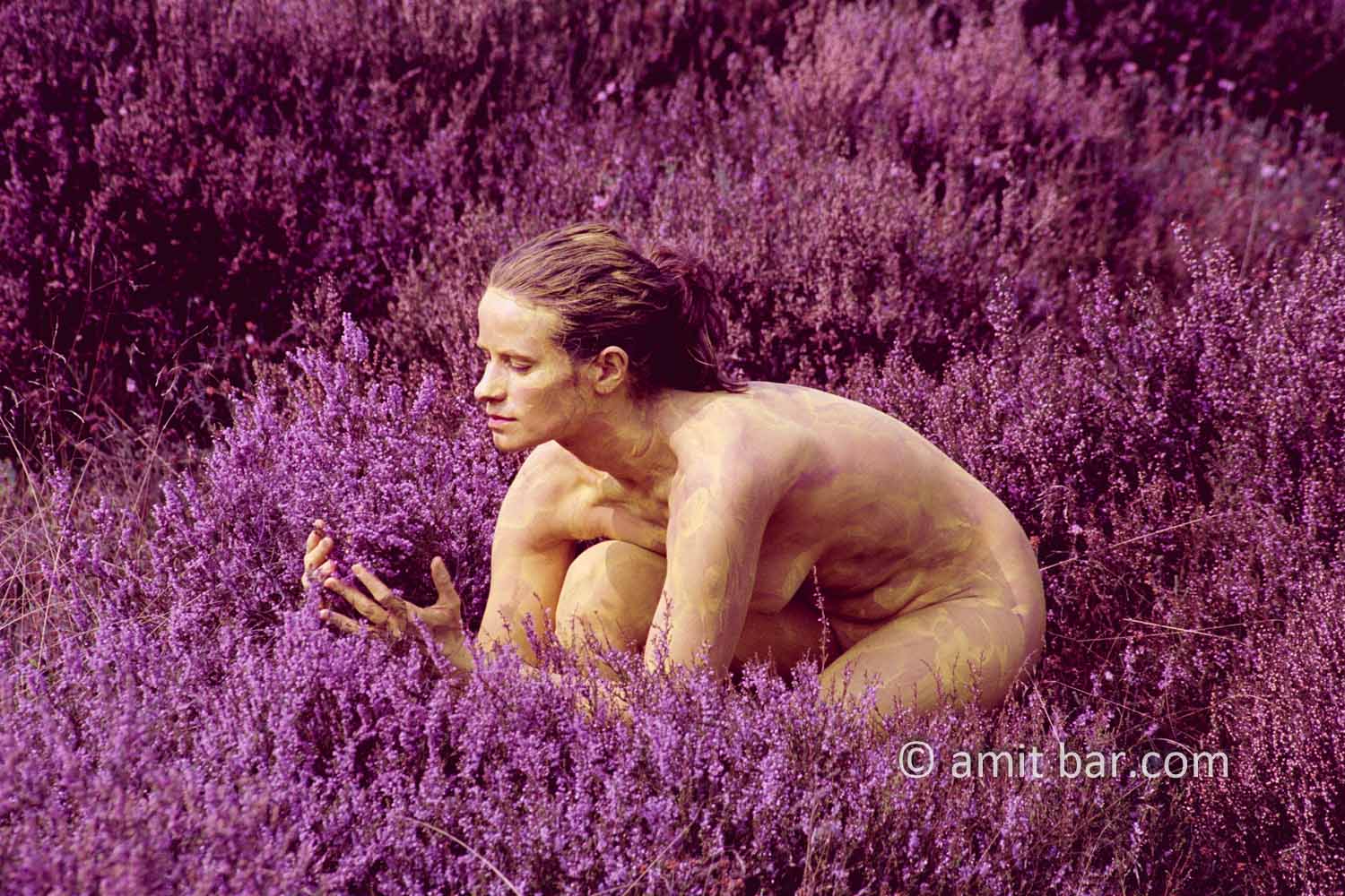 Calluna vulgaris II: Body-painted model with common heather flowers in the nature