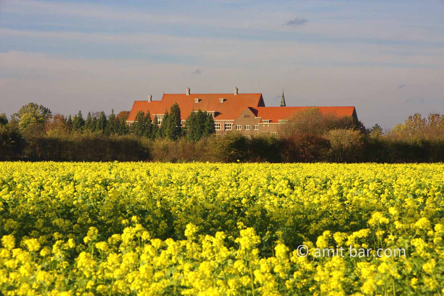 Castle Sevenaer: Castle Sevenaer with mustard field, The Netherlands