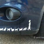 Cats' fan: Decoration of a car's bumper in Ramat-Yishai, Israel