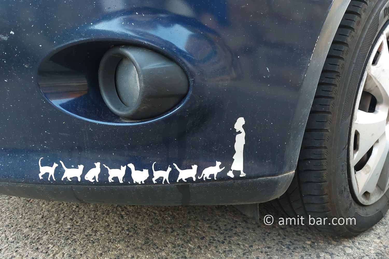 Cats' fan: Decoration of a car's bumper in Ramat-Yishai, Israel