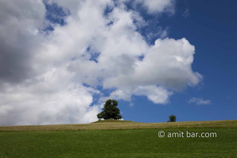 Clouds with tree
