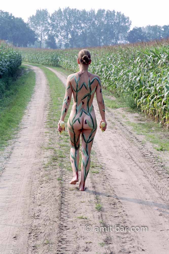 Corn fields I: Body-painted model in corn-fields