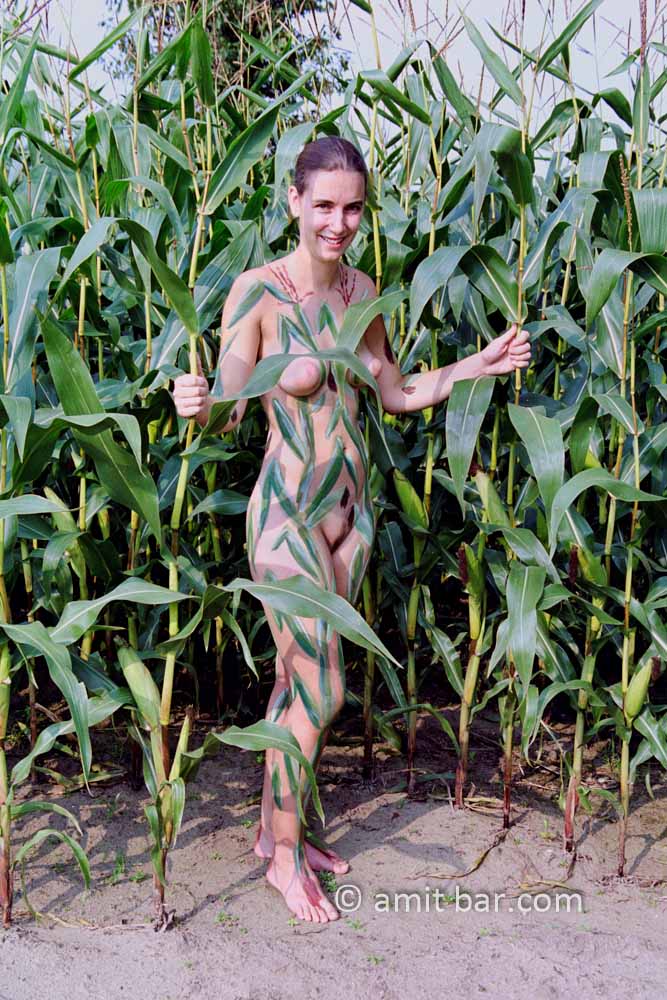 Corn fields II: Body-painted model in corn-fields