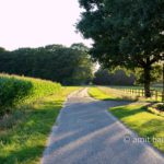 Country road at sunset: Country road at sunset in The Achterhook, The Netherlands