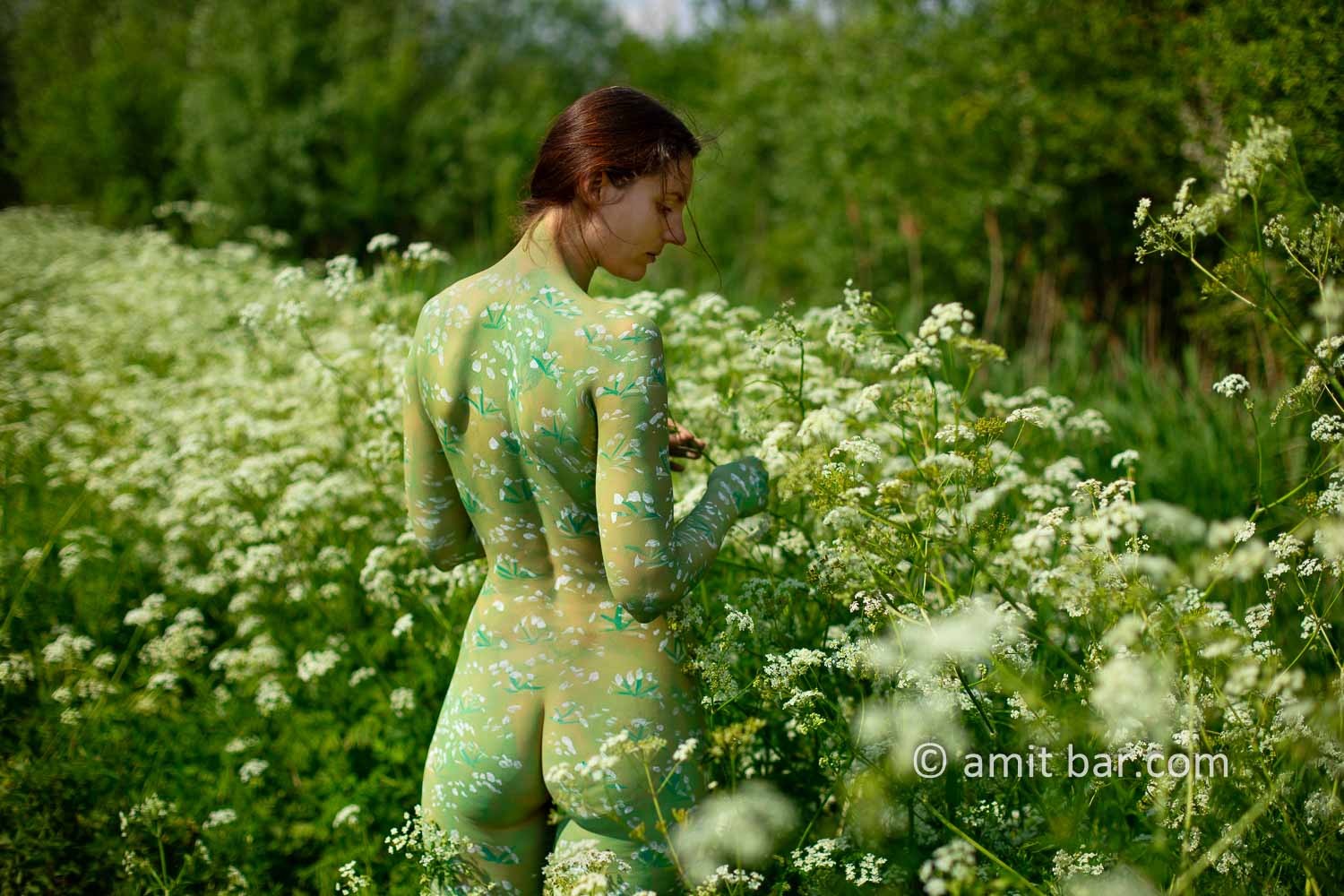 Cow parsley II: The wild plant Cow parsley inspired me to crate a body-painting on a sunny day besides my hometown.