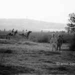 Crazy horse: Two children are wathcing a horse getting crazy