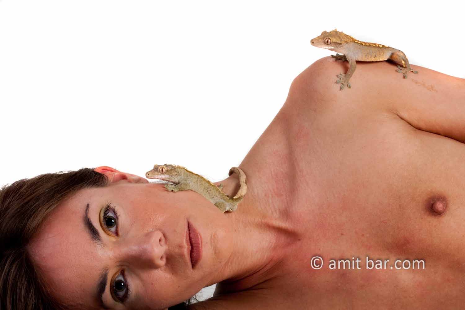 Crested gecko II: crested gecko on woman's shoulder