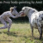 Dalmatian Pony video: This bodypainting is based on the special pattern of the pony horse featured in this video. The pony's pattern looks more like the pattern of a Damatian dog than that of a 'regular' pony. Unfortunately, this pony wasn't very eager to to cooperate and when she finaly did, love for the arts was not her primary incentive...