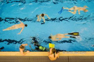 Divers: Nude divers at a swimmingpool