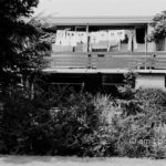 Don`t worry - Be happy! : T-shirts on a laundry-thread