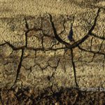 Dry earth I: Cracking soil in the fields