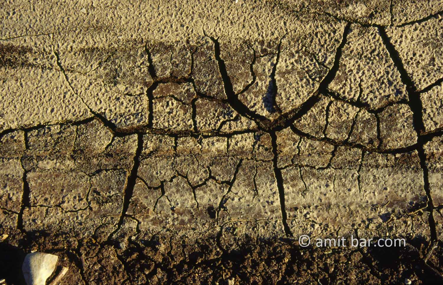 Dry earth I: Cracking soil in the fields
